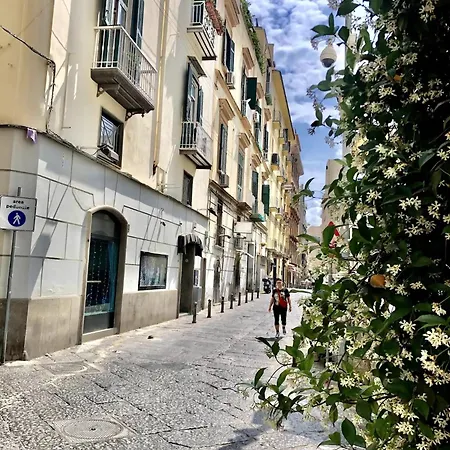 Art Maison Chiaia Apartman